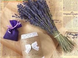 HOA LAVENDER KHÔ ĐÀ LẠT HL - 8 - 0 HOA LAVENDER KHÔ ĐÀ LẠT HL - 8 - 0