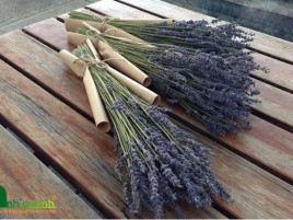 HOA LAVENDER KHÔ GIÁ RẺ - HL-16-0 HOA LAVENDER KHÔ GIÁ RẺ - HL-16-0