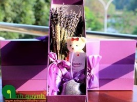 HỘP QUÀ HOA LAVENDER KHÔ HỘP QUÀ HOA LAVENDER KHÔ