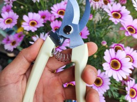 Kéo Cắt Cành M01 – Giá Rẻ