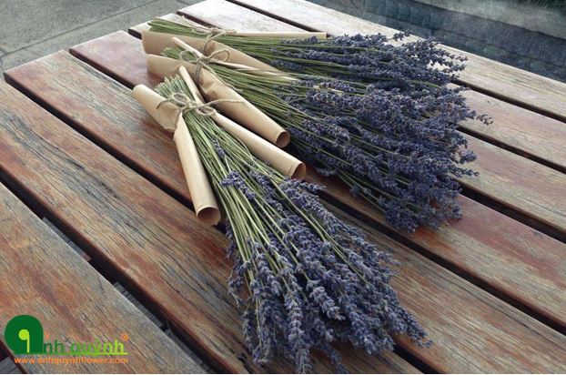 Hoa oải hương rất được nhiều người yêu thích